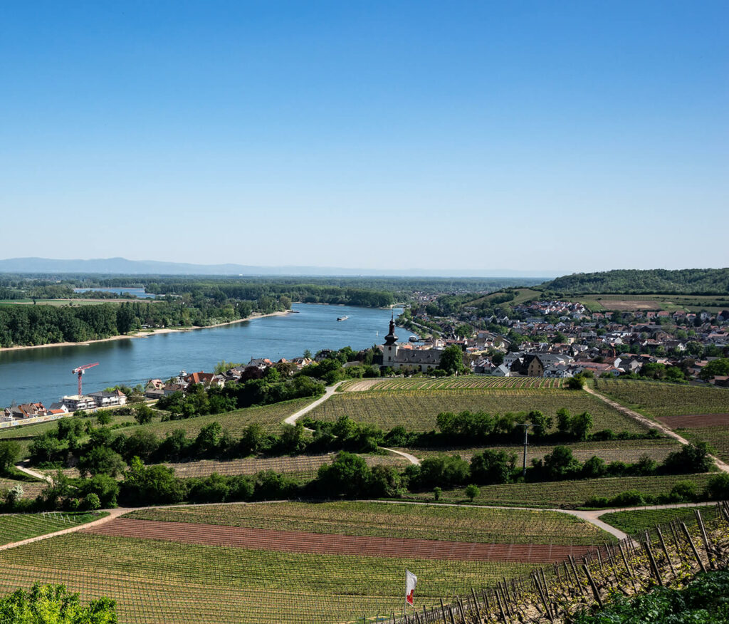 Die Stadt Nierstein in Rheinhessen fotografiert bei Sonnenschein
